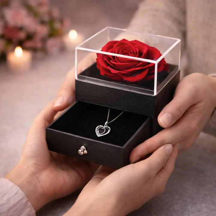 Rosa eterna regalo San Valentín