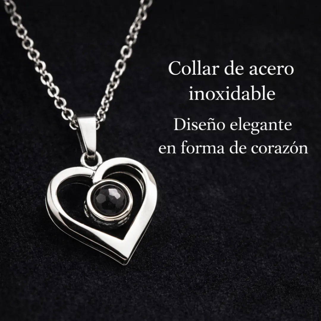 Rosa eterna con collar de acero inoxidable