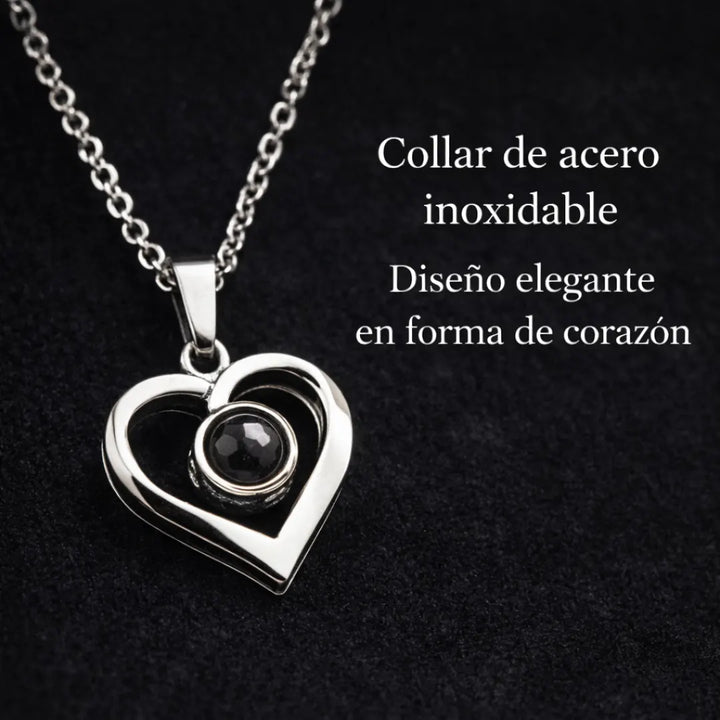 Rosa eterna con collar de acero inoxidable